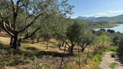 Nicosia-Dom---Ci---8-