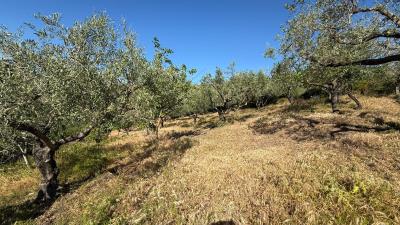 Nicosia-Dom---Ci---14-