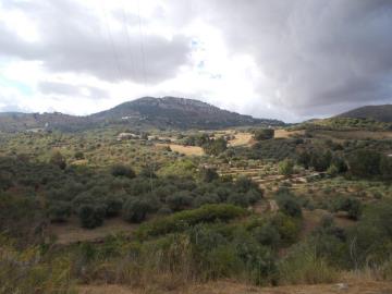 Sparacino-Carm---Co---2-