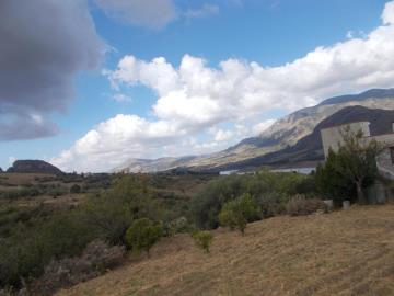 Sparacino-Carm---Co---4-