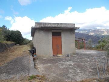 Sparacino-Carm---Co---5-