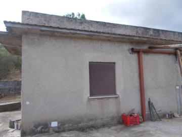 Sparacino-Carm---Co---7-