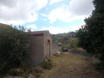 Sparacino-Carm---Co---12-