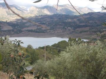 Sparacino-Carm---Co---13-