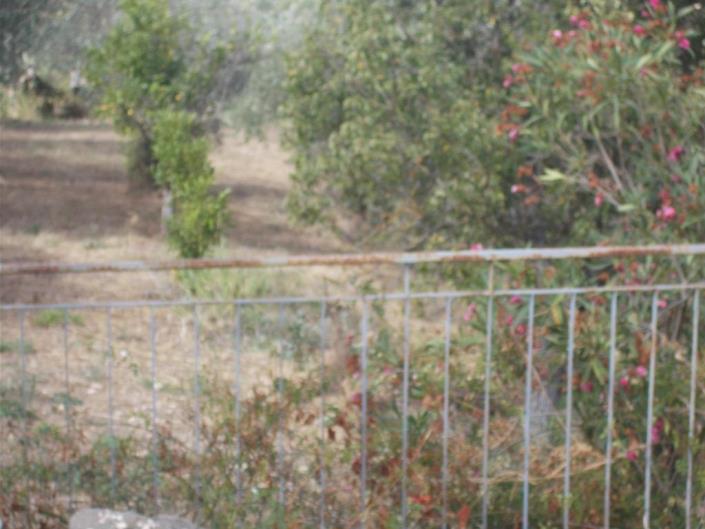 Image No.28-2 Bed Villa for sale