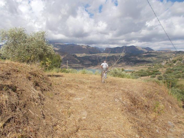 Image No.34-2 Bed Villa for sale