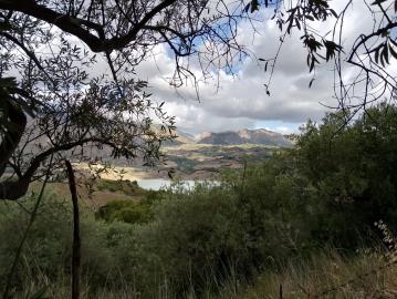 Ciaccio-Salv---Ci----2-