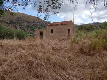 Ciaccio-Salv---Ci----4-