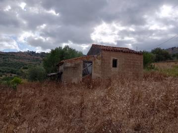 Ciaccio-Salv---Ci----5-