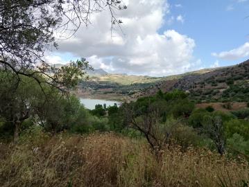 Ciaccio-Salv---Ci----6-