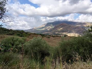 Ciaccio-Salv---Ci----7-