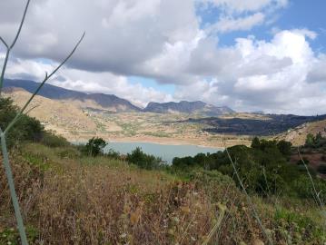 Ciaccio-Salv---Ci----8-