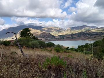 Ciaccio-Salv---Ci----9-