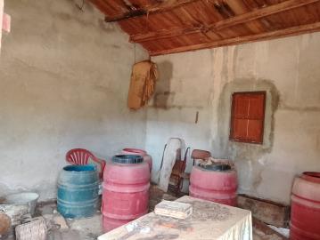 Ciaccio-Salv---Ci----11-