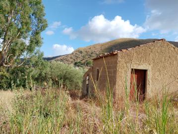 Ciaccio-Salv---Ci----13-