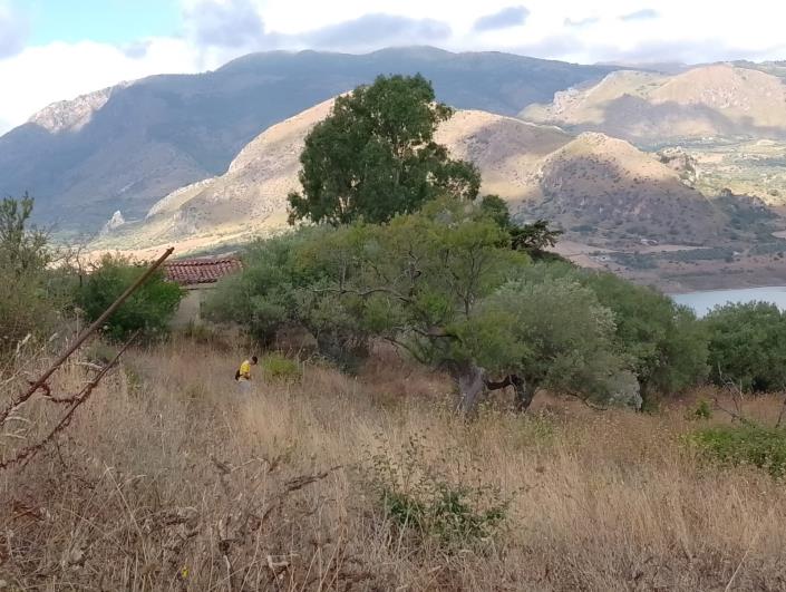 Image No.14-1 Bed Villa for sale