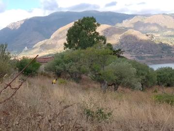 Ciaccio-Salv---Ci----14-