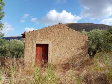 Ciaccio-Salv---Ci----15-