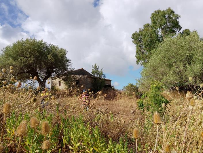 Image No.18-1 Bed Villa for sale