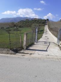 Amalfitano---Ci---3-