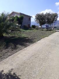 Amalfitano---Ci---4-