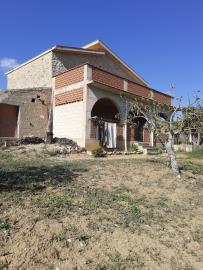 Amalfitano---Ci---5-