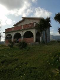 Amalfitano---Ci---12-