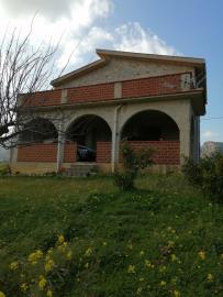 Amalfitano---Ci---15-