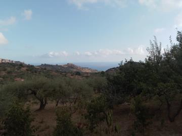 Scacciaferro-G---Ci--1-