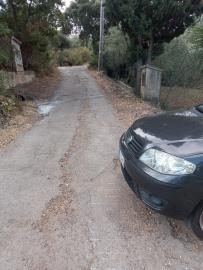 Scacciaferro-G---Ci--2-