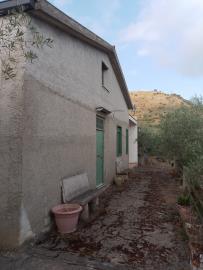 Scacciaferro-G---Ci--3-