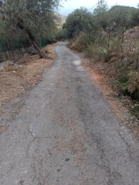 Scacciaferro-G---Ci--11-