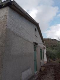 Scacciaferro-G---Ci--13-