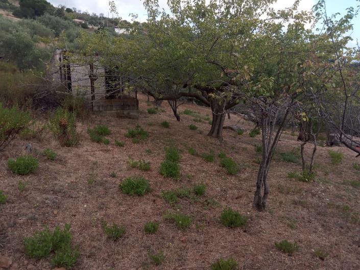 Image No.14-3 Bed Villa for sale