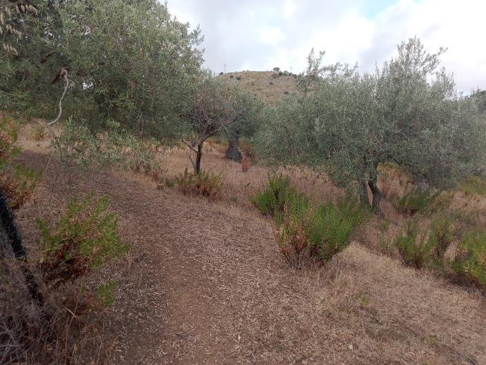 Image No.15-3 Bed Villa for sale