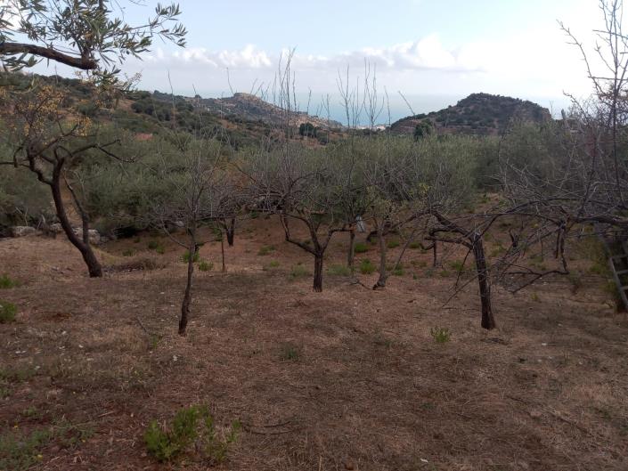 Image No.19-3 Bed Villa for sale