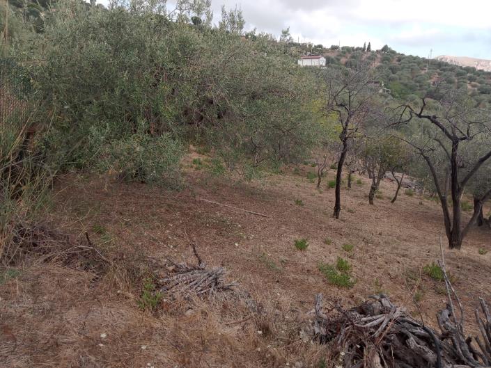 Image No.23-3 Bed Villa for sale