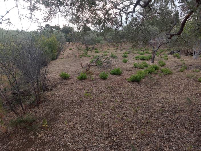 Image No.25-3 Bed Villa for sale