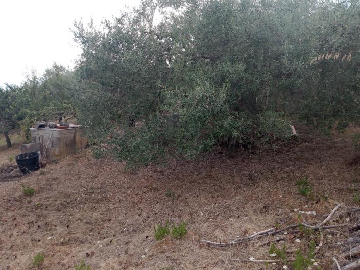 Image No.30-3 Bed Villa for sale