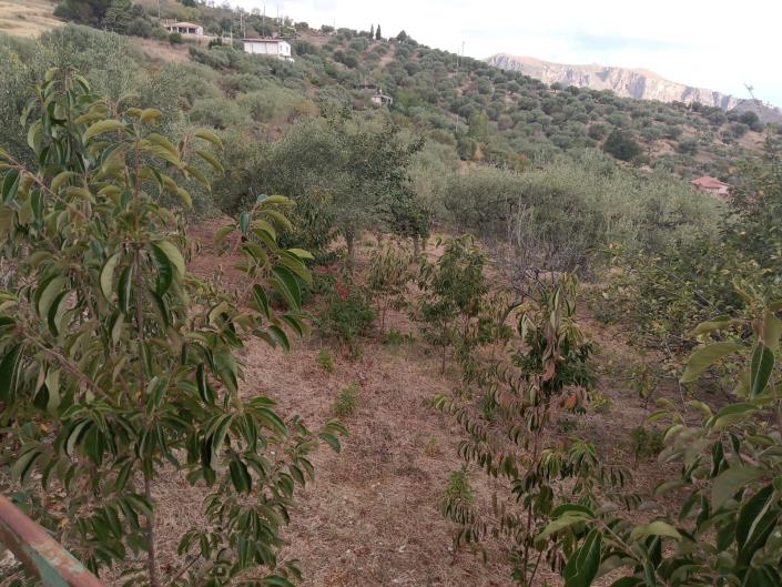 Image No.55-3 Bed Villa for sale