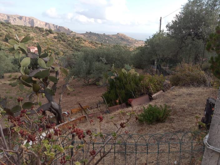 Image No.56-3 Bed Villa for sale