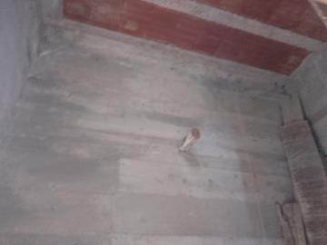 Lodino-Mario---Ci---12-