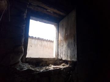 Lodino-Mario---Ci---13-