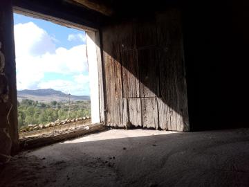 Lodino-Mario---Ci---15-