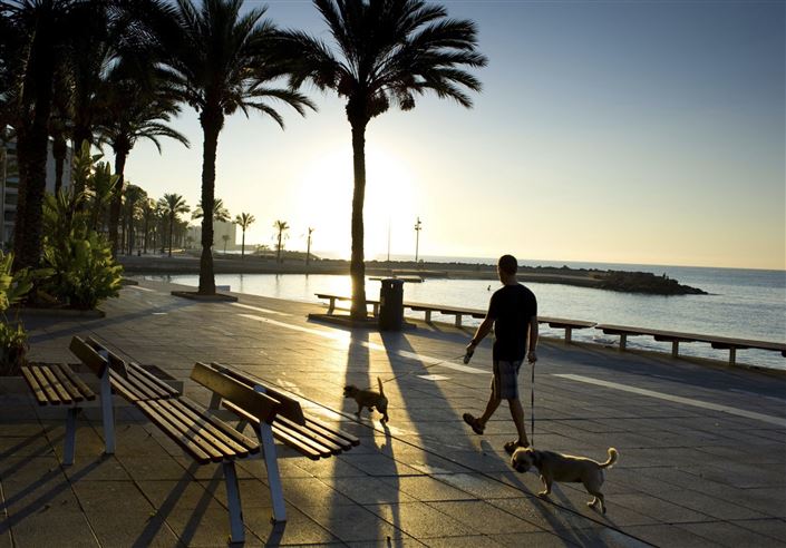 Image No.19-3 Bed Apartment for sale