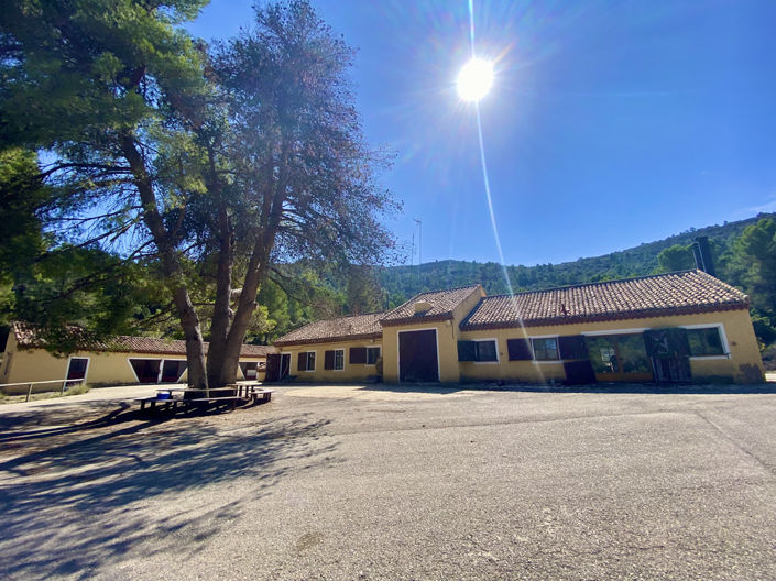 Image No.20-5 Bed Finca for sale