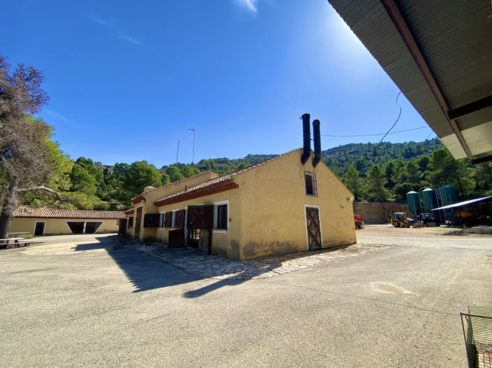 Image No.23-5 Bed Finca for sale