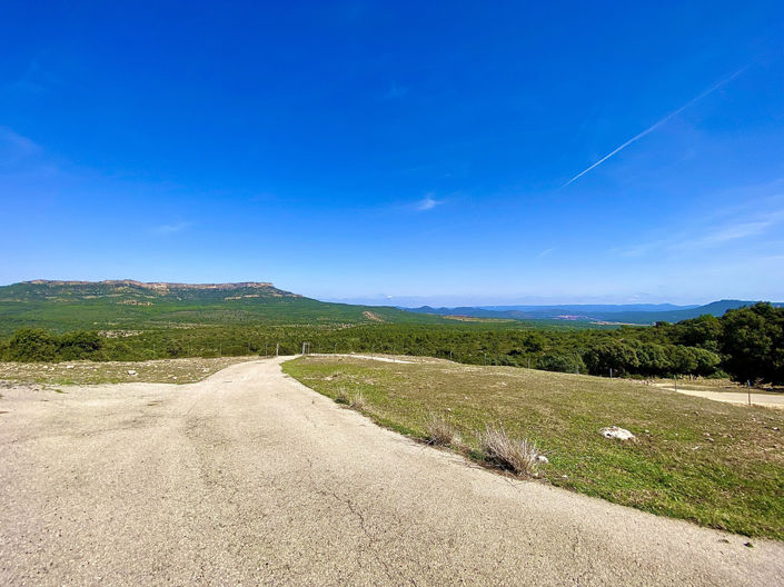 Image No.26-5 Bed Finca for sale