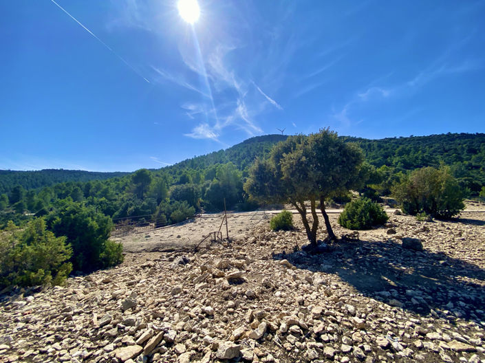 Image No.28-5 Bed Finca for sale