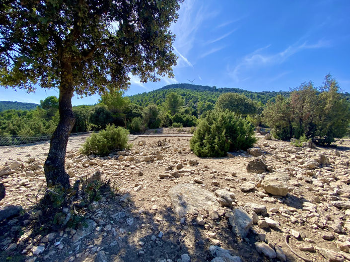 Image No.29-5 Bed Finca for sale